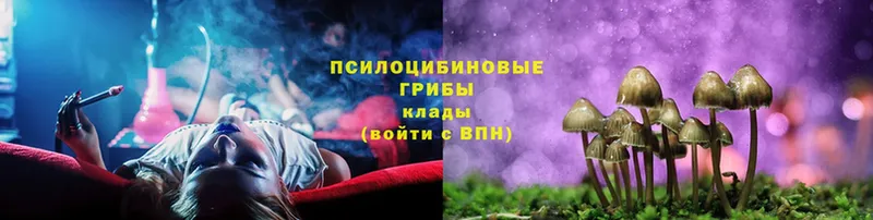 hydra зеркало  Вельск  Псилоцибиновые грибы MAGIC MUSHROOMS 