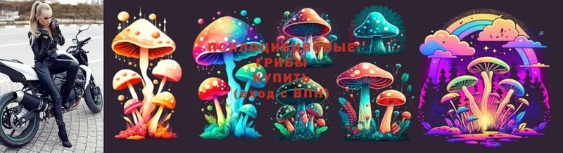 Галлюциногенные грибы Magic Shrooms  Вельск 